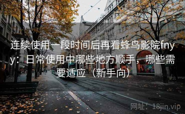 连续使用一段时间后再看蜂鸟影院fnyy：日常使用中哪些地方顺手，哪些需要适应（新手向）