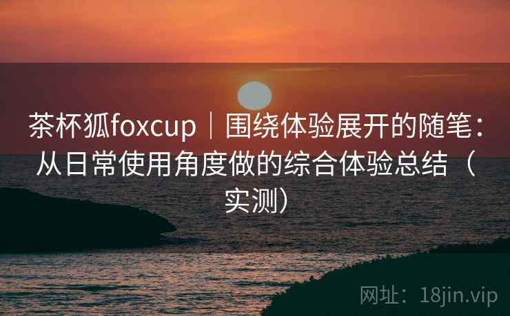 茶杯狐foxcup｜围绕体验展开的随笔：从日常使用角度做的综合体验总结（实测）