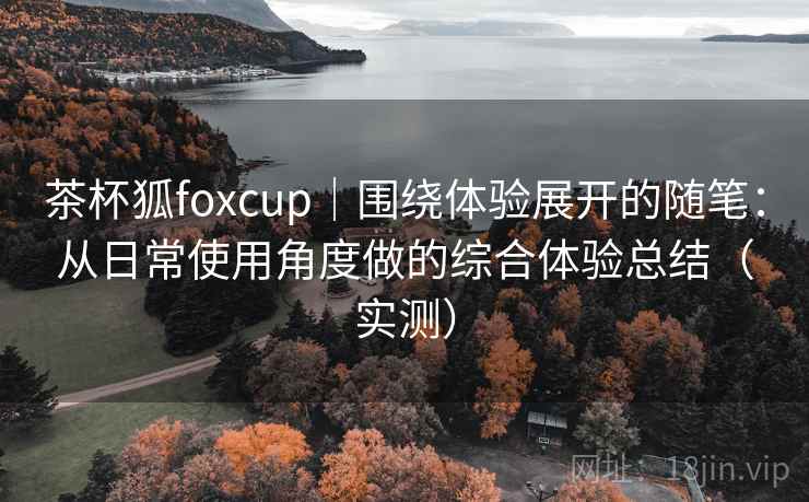 茶杯狐foxcup｜围绕体验展开的随笔：从日常使用角度做的综合体验总结（实测）