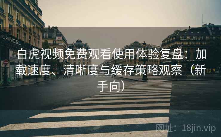白虎视频免费观看使用体验复盘：加载速度、清晰度与缓存策略观察（新手向）