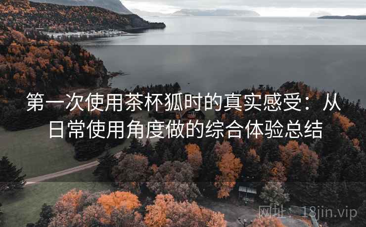 第一次使用茶杯狐时的真实感受：从日常使用角度做的综合体验总结