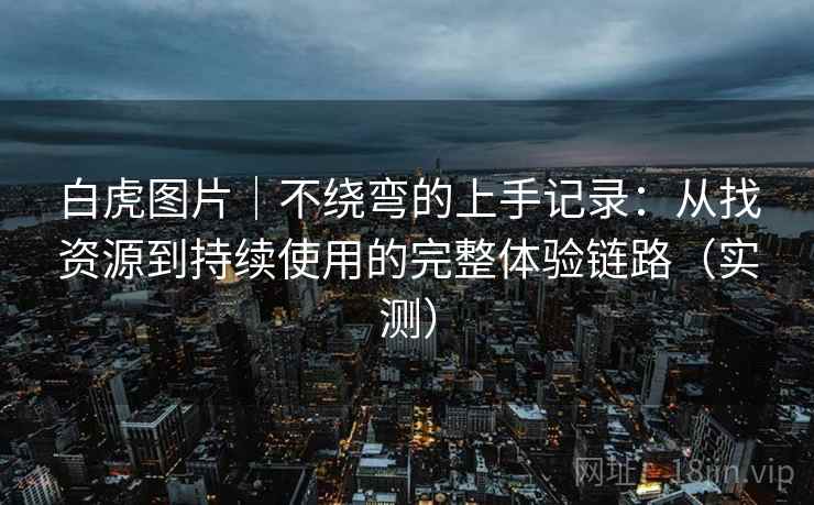白虎图片|不绕弯的上手记录:从找资源到持续使用的完整体验链路(实测) 白虎图片|不绕弯的上手记录:从找资源到持续使用的完整体验链路(实测)